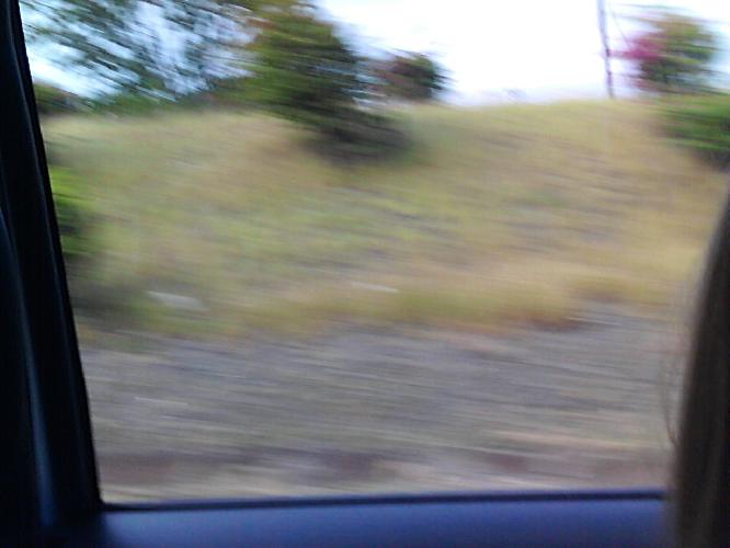 100_0625.JPG