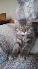 IMG_20150414_115412_687.jpg