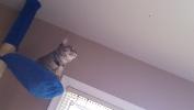 IMG_20150423_183948_764.jpg