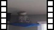 VID_20150423_183734_490.mp4